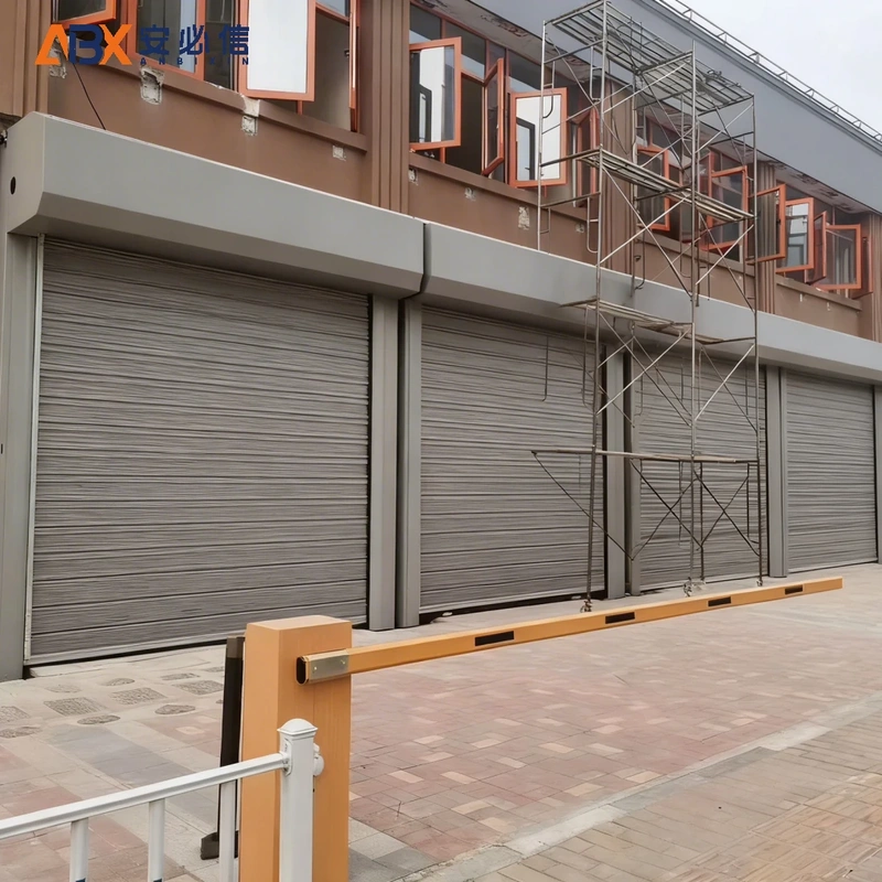 铁岭市金属高速门